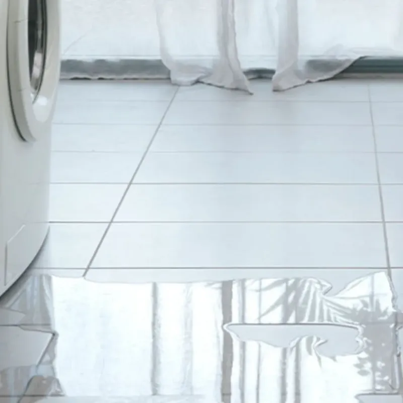 Appliance Leak Cleanup in Jackson County, IL