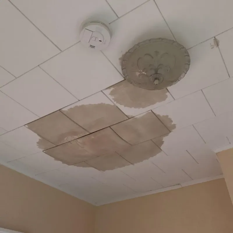 Ceiling Water Damage Repair in Jackson County, IL