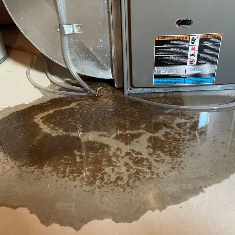 Pipe Burst and Leak Restoration in Jackson County, IL