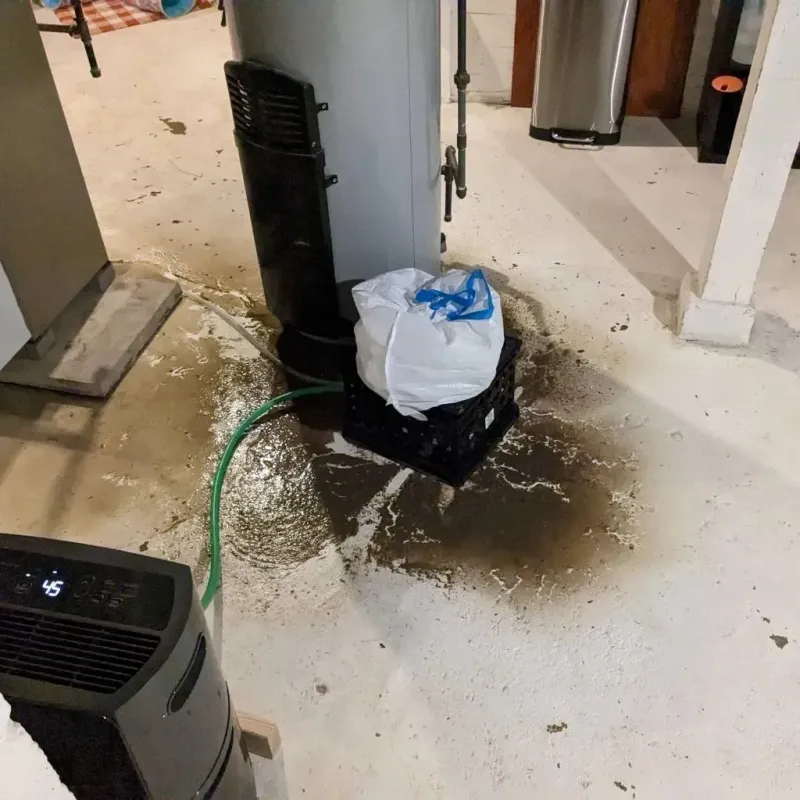 Sewage Backup Cleanup Service in Jackson County, IL